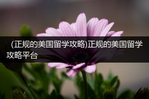 （正规的美国留学攻略)正规的美国留学攻略平台