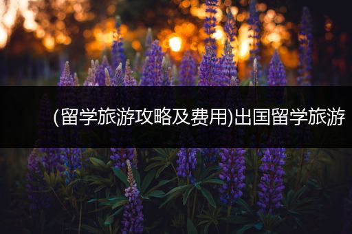 （留学旅游攻略及费用)出国留学旅游