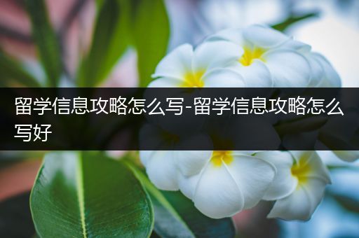 留学信息攻略怎么写-留学信息攻略怎么写好