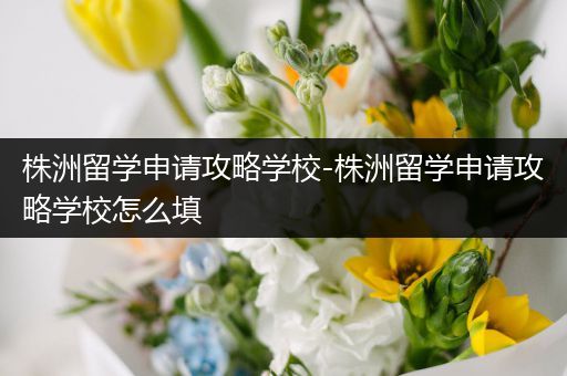 株洲留学申请攻略学校-株洲留学申请攻略学校怎么填