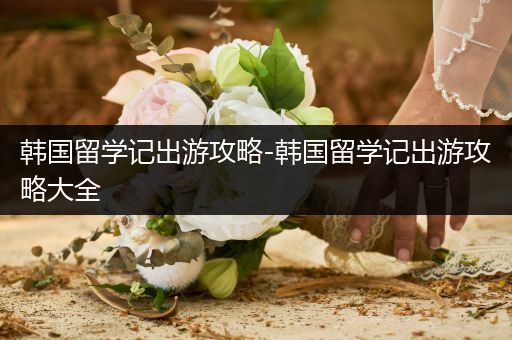 韩国留学记出游攻略-韩国留学记出游攻略大全