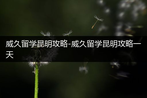 威久留学昆明攻略-威久留学昆明攻略一天