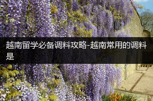 越南留学必备调料攻略-越南常用的调料是