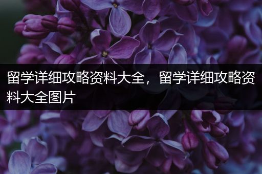 留学详细攻略资料大全，留学详细攻略资料大全图片