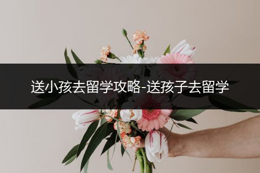 送小孩去留学攻略-送孩子去留学