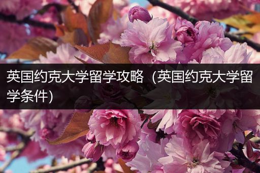 英国约克大学留学攻略（英国约克大学留学条件）