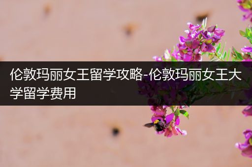 伦敦玛丽女王留学攻略-伦敦玛丽女王大学留学费用