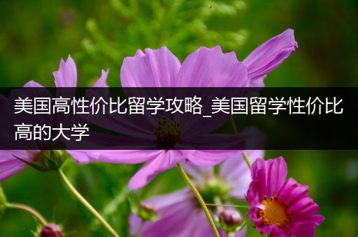 美国高性价比留学攻略_美国留学性价比高的大学