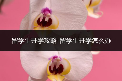 留学生开学攻略-留学生开学怎么办