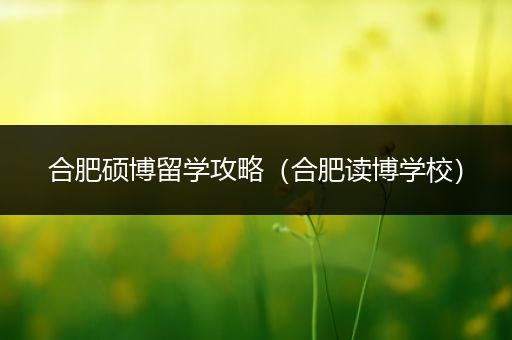 合肥硕博留学攻略（合肥读博学校）