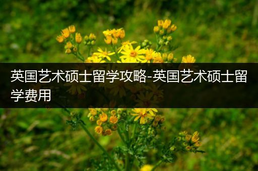 英国艺术硕士留学攻略-英国艺术硕士留学费用
