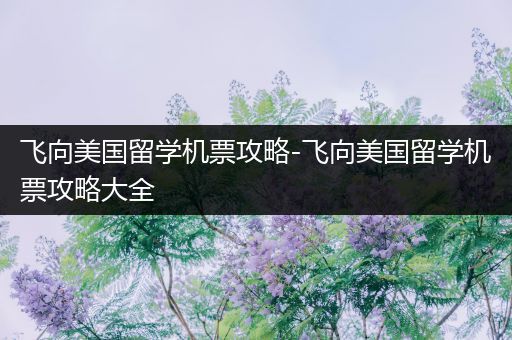 飞向美国留学机票攻略-飞向美国留学机票攻略大全