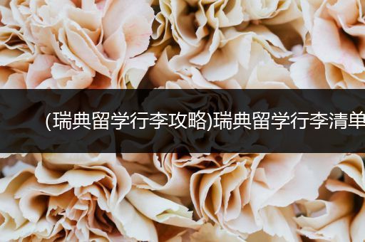 （瑞典留学行李攻略)瑞典留学行李清单