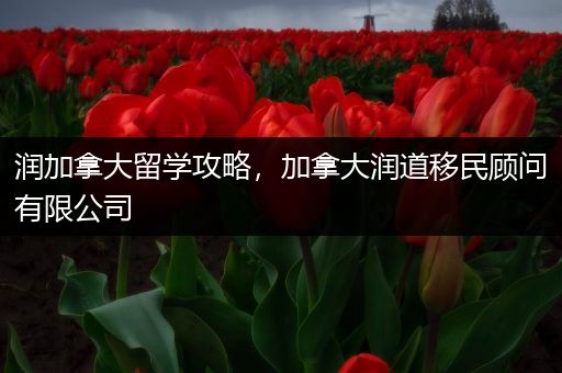 润加拿大留学攻略，加拿大润道移民顾问有限公司