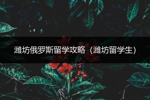 潍坊俄罗斯留学攻略（潍坊留学生）