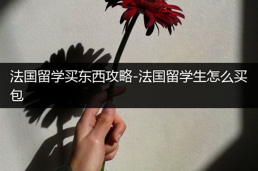 法国留学买东西攻略-法国留学生怎么买包