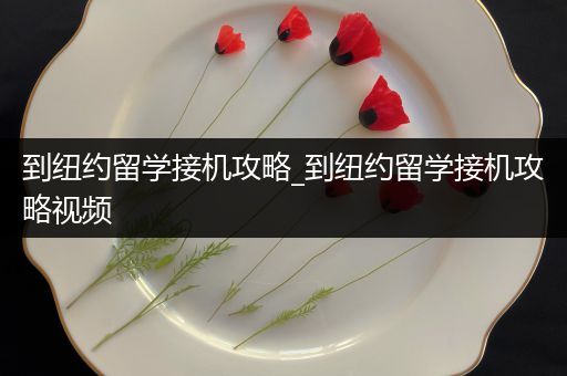 到纽约留学接机攻略_到纽约留学接机攻略视频