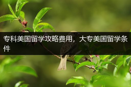 专科美国留学攻略费用，大专美国留学条件