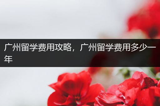 广州留学费用攻略，广州留学费用多少一年