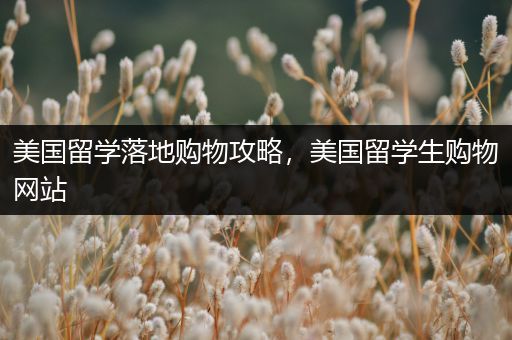 美国留学落地购物攻略，美国留学生购物网站