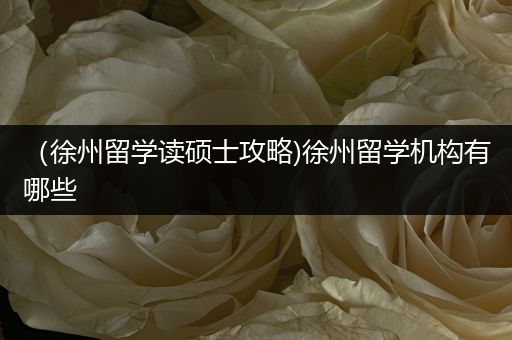 （徐州留学读硕士攻略)徐州留学机构有哪些