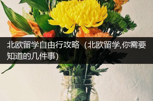 北欧留学自由行攻略（北欧留学,你需要知道的几件事）