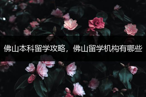 佛山本科留学攻略，佛山留学机构有哪些