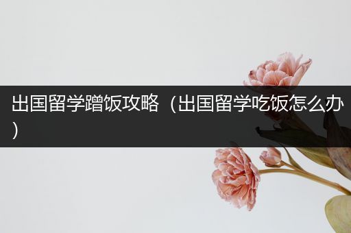 出国留学蹭饭攻略（出国留学吃饭怎么办）