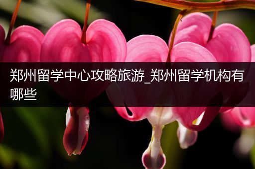 郑州留学中心攻略旅游_郑州留学机构有哪些