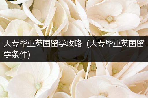大专毕业英国留学攻略（大专毕业英国留学条件）