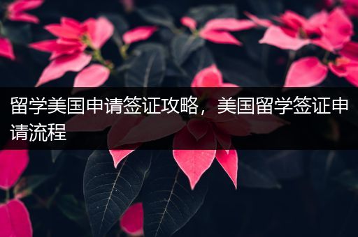 留学美国申请签证攻略，美国留学签证申请流程