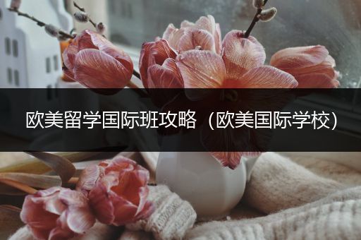 欧美留学国际班攻略（欧美国际学校）