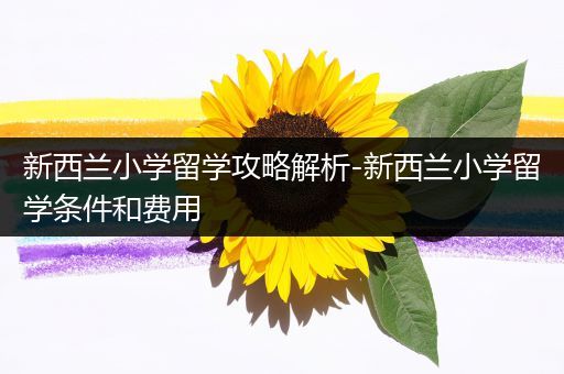 新西兰小学留学攻略解析-新西兰小学留学条件和费用