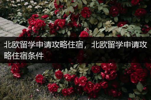 北欧留学申请攻略住宿，北欧留学申请攻略住宿条件