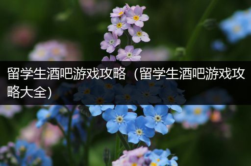 留学生酒吧游戏攻略（留学生酒吧游戏攻略大全）
