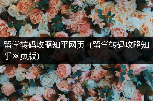 留学转码攻略知乎网页（留学转码攻略知乎网页版）