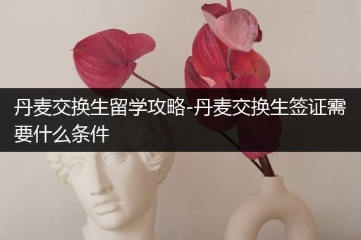 丹麦交换生留学攻略-丹麦交换生签证需要什么条件