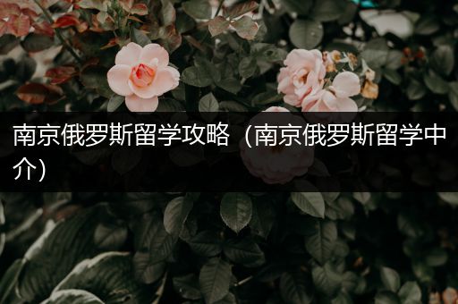 南京俄罗斯留学攻略（南京俄罗斯留学中介）