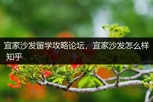 宜家沙发留学攻略论坛，宜家沙发怎么样 知乎