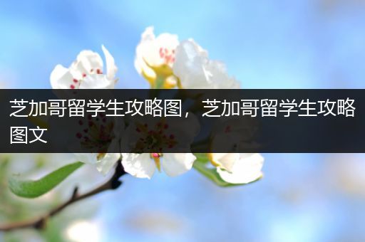 芝加哥留学生攻略图，芝加哥留学生攻略图文