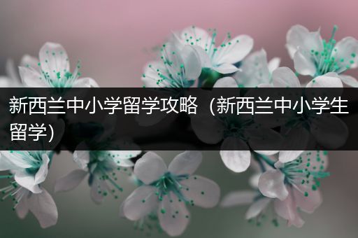 新西兰中小学留学攻略（新西兰中小学生留学）