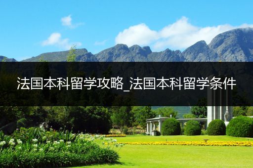 法国本科留学攻略_法国本科留学条件