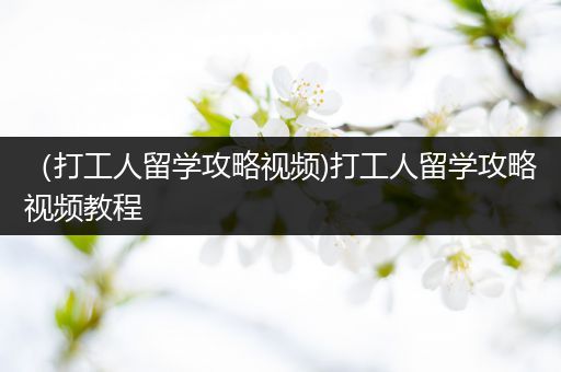 （打工人留学攻略视频)打工人留学攻略视频教程