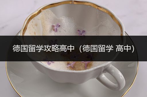 德国留学攻略高中（德国留学 高中）