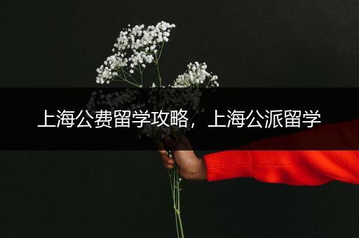 上海公费留学攻略，上海公派留学