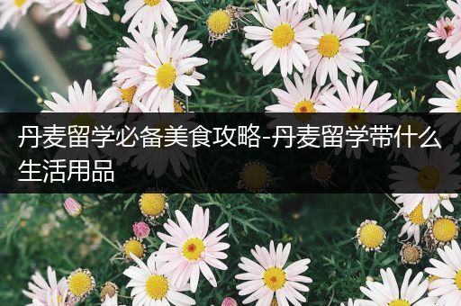 丹麦留学必备美食攻略-丹麦留学带什么生活用品