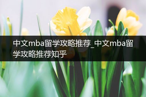 中文mba留学攻略推荐_中文mba留学攻略推荐知乎
