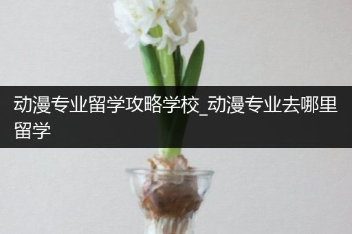 动漫专业留学攻略学校_动漫专业去哪里留学