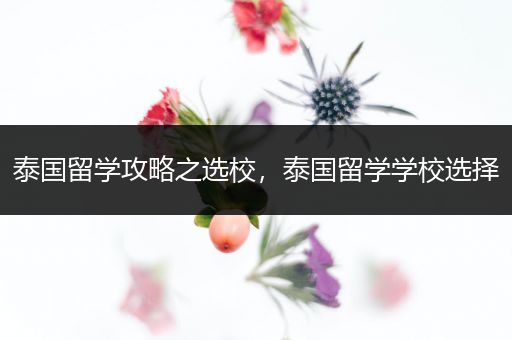 泰国留学攻略之选校，泰国留学学校选择