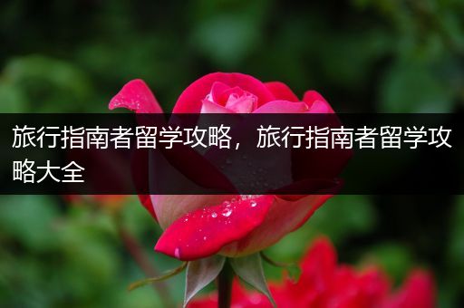 旅行指南者留学攻略，旅行指南者留学攻略大全